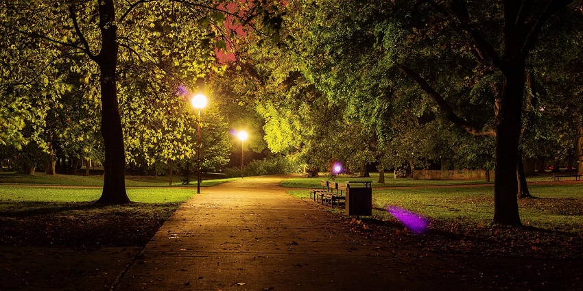 Gabala City Park is a peaceful retreat and the best thing to do in Gabala with kids.