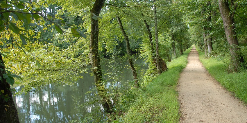 The Delaware & Raritan Canal flowing peacefully through lush greenery in Princeton