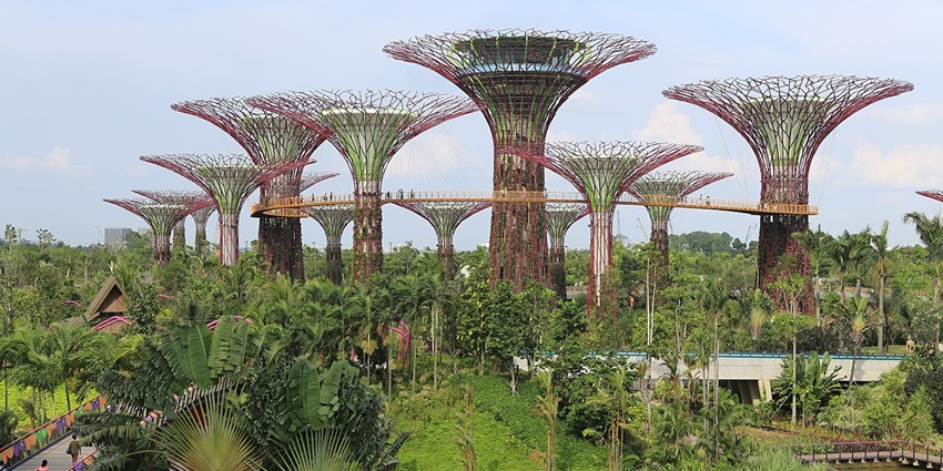 Image of the Supertree Grove at Gardens by the Bay, Singapore, a must-visit with family.