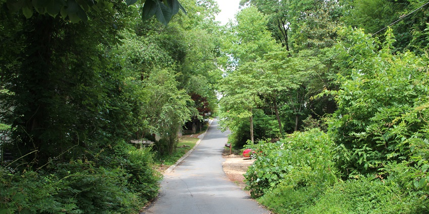 Explore Giant’s Head Mountain Park, one of the most exciting things to do in Summerland