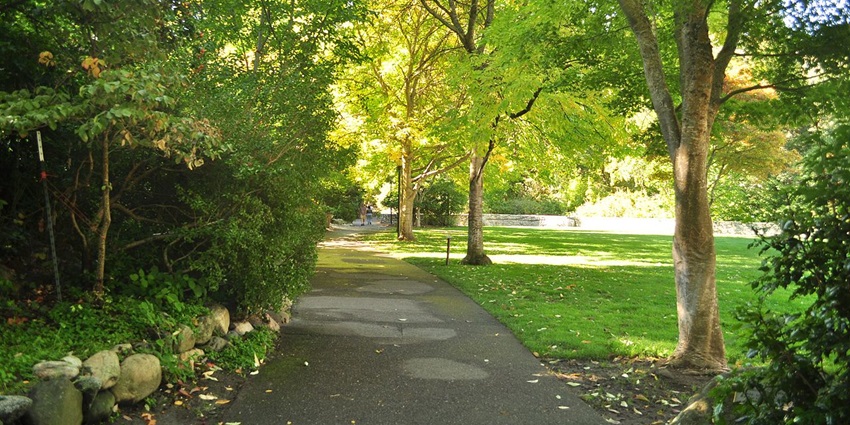 Tree-lined pathway inside Lithia Park, among the famous things to do in Ashland.