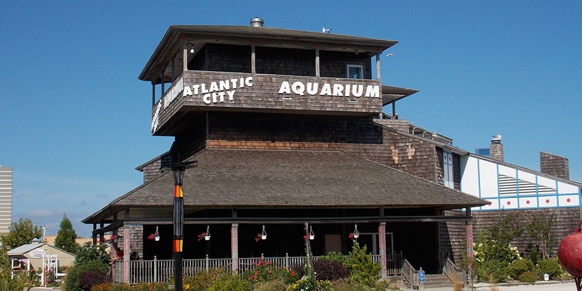 Discover sea life exhibits and interactive displays at the family-friendly Atlantic City Aquarium.