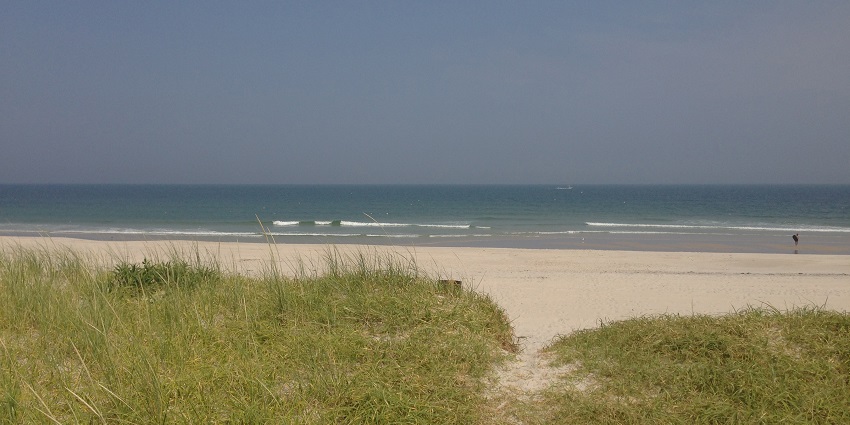 Explore the Bethany Beach Nature Center, one of the top things to do in Bethany Beach.