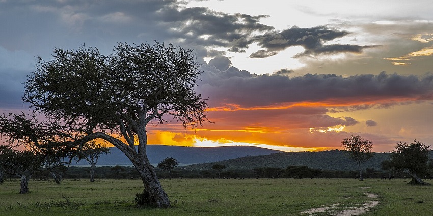 Visit the popular Mara conservancies, among popular things to do in Masai Mara, Africa.
