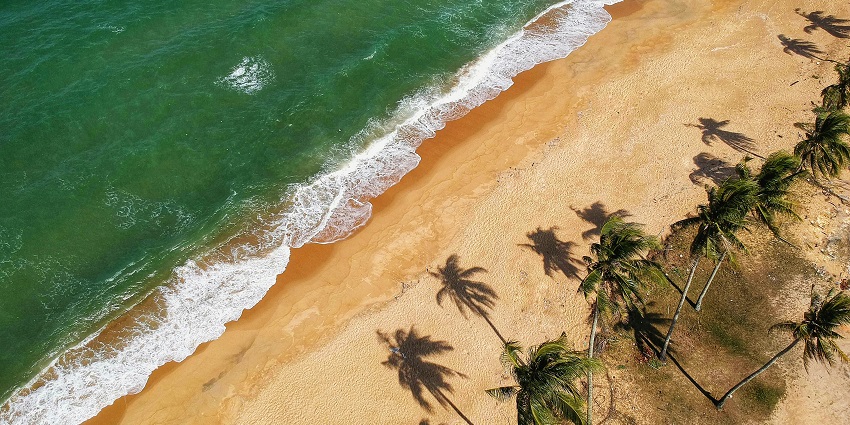 When capturing Coconut Tree Hill photos, you will witness the rich biodiversity