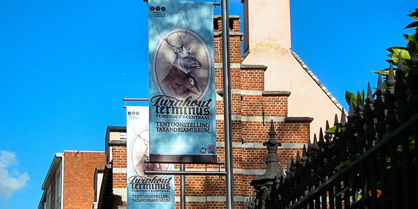 A regional museum housed in a beautiful historic building, showcasing local history and art.