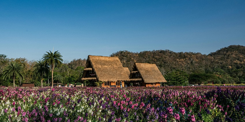 Traditional Long Neck Karen Village featuring unique cultural attire and local lifestyle.