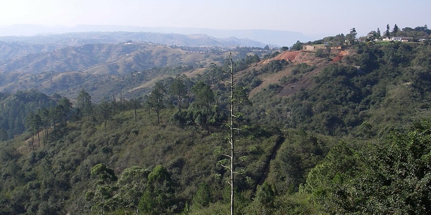 Things to do in Durban include taking a scenic trip through the Valley of 1000 Hills.