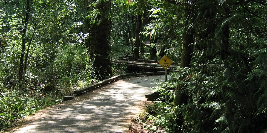 An image showing the Tualatin Hills Nature Park, a top thing to see in Beaverton.