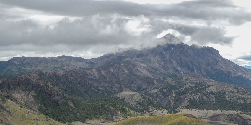 Lush greenery and waters in Vicente Pérez Rosales National Park, showcasing Chile's beauty