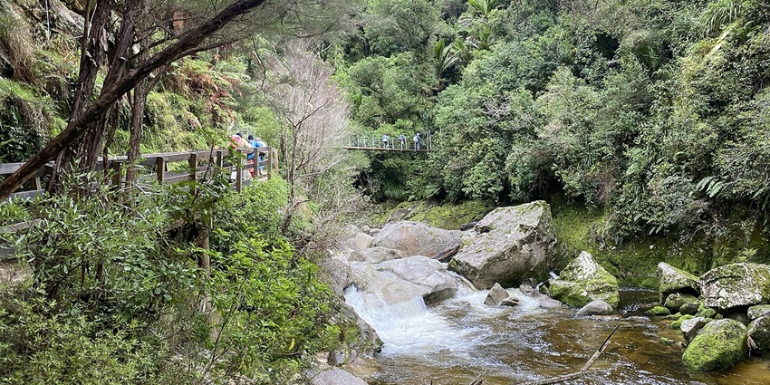 Hikers crossing a swing bridge toward Wainui Falls, among the top-rated things to do in Abel Tasman.