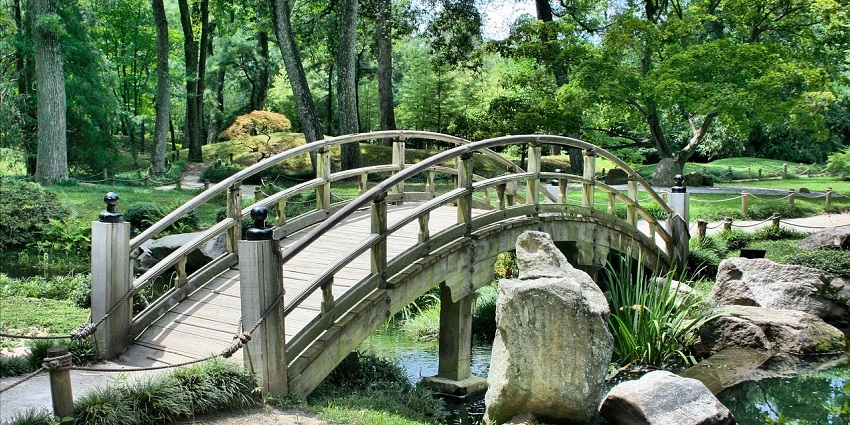 An image of a walking trail surrounded by plants in the Acapulco Botanical Garden.