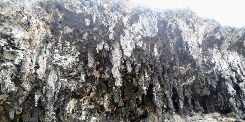 An image of the petroglyphs drawn by the Arawak Indians inside one of the Aruba caves.