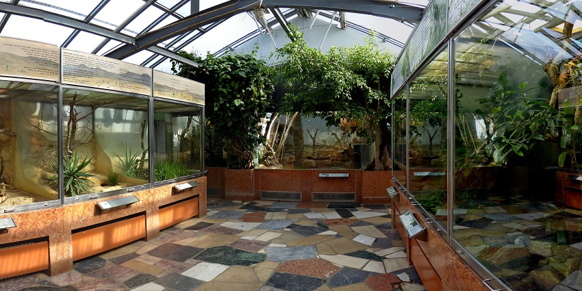 Indoor enclosures at Frankfurt Zoo, an exotarium with greenery, a zoo in Germany