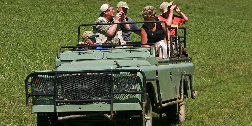An image of Safari jeep tours through wild trails at Frederica Nature Reserve, Mauritius.