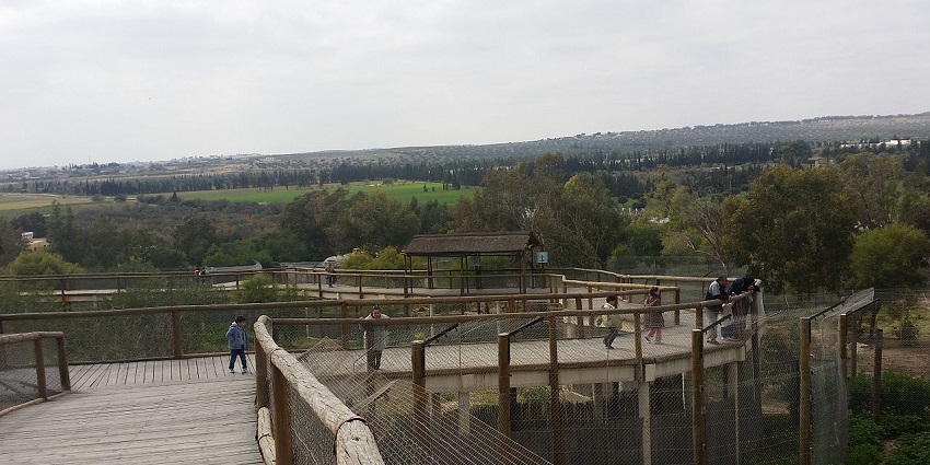 An image of Friguia Park, a popular Zoos In Tunisia featuring animals and shows.