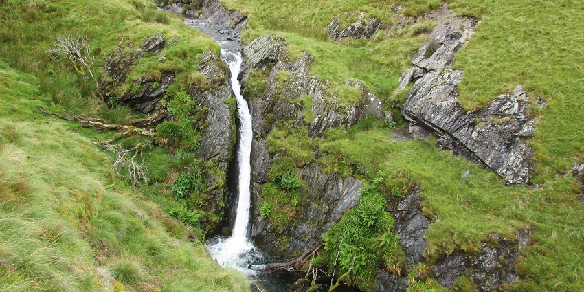 Waterfall plunging gracefully from a green cliff into a rainforest gorge on green land.