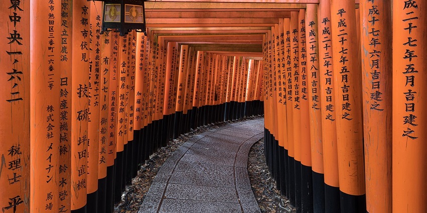 Torii path with lanterns, multiple pillars and different writing on each pillar at the shrine