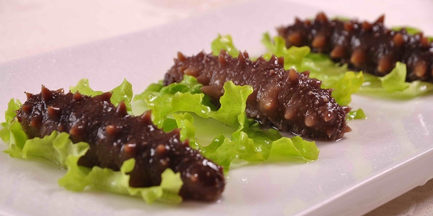 An image of a sea cucumber resembling gamat, a famous thing to buy in Malaysia.