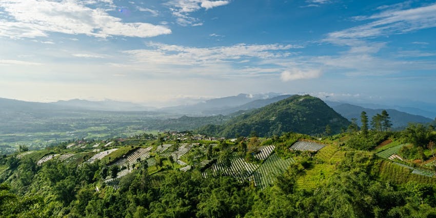 With mountains in the background, the green terraced hillside fields under the clear sky.