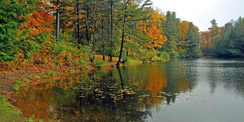 Gatineau Park near Ottawa with trails, lakes, and vibrant autumn foliage, perfect for outdoor adventures.