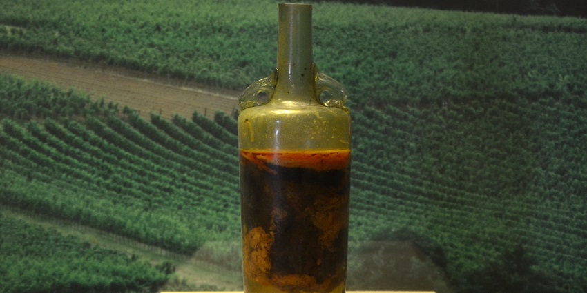 An image of German wine, a tourist attraction that is among the most popular things to buy in Germany.