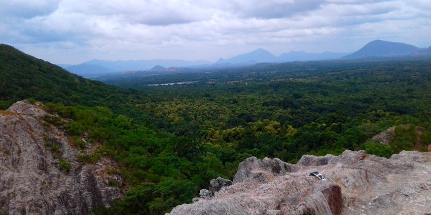 Hike through forests and pink quartz hills at Namal Uyana, a serene and nature haven.