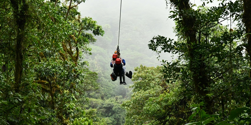 Navigate rope bridges and zip lines above forested trails, among the things to do in Brampton.
