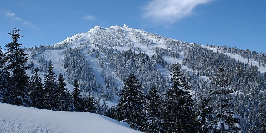 Snow-covered ski slopes and pine trees on Mount Ashland, visiting this is the best things to do in Ashland.