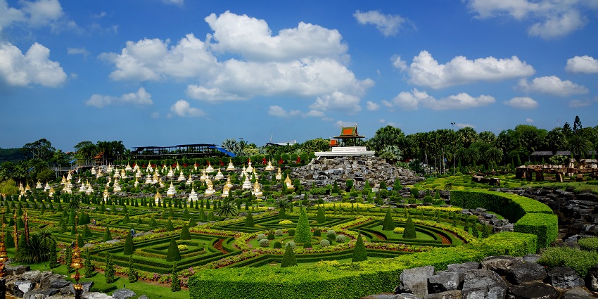 Visit the Mini zoo, an ideal spot for wildlife enthusiasts