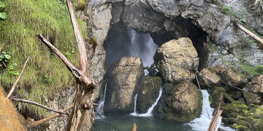 At Golling Waterfall, a torrent of water plunges surrounded by thick Austrian forest.
