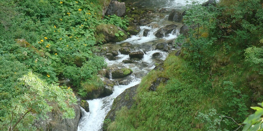Ovcharchenski/Goritsa Waterfall cascades over rocky steps, surrounded by lush green scenery