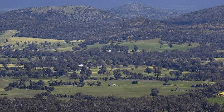 Grampians National Park with rocky cliffs and a forested valley under a bright blue sky
