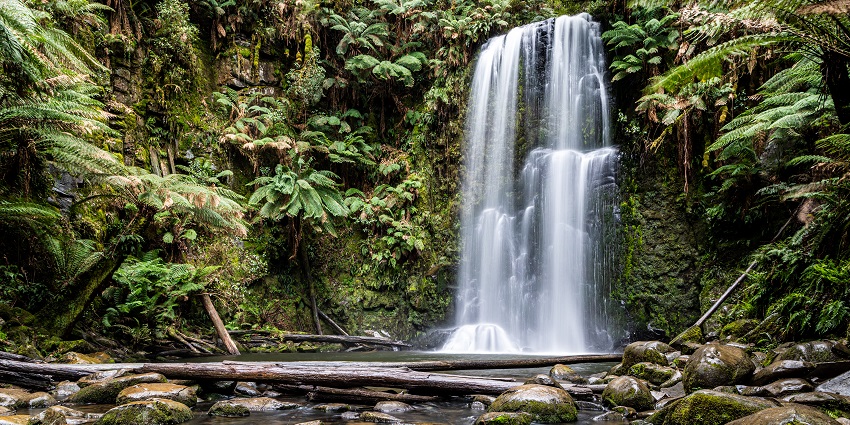 Waterfall tumbling down a rocky slope covered in greenery, with tree branches and rocks