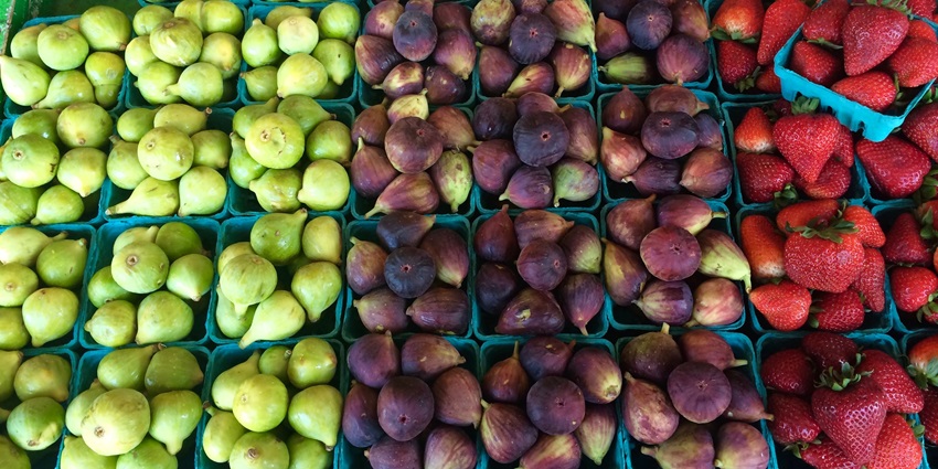 Colourful stalls at Tillamook Farmers Market displaying fresh produce and handmade goods.