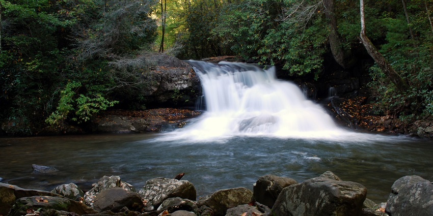 Hemlock falls flowing into the waterbody and wet rocks with fallen leaves and greenery
