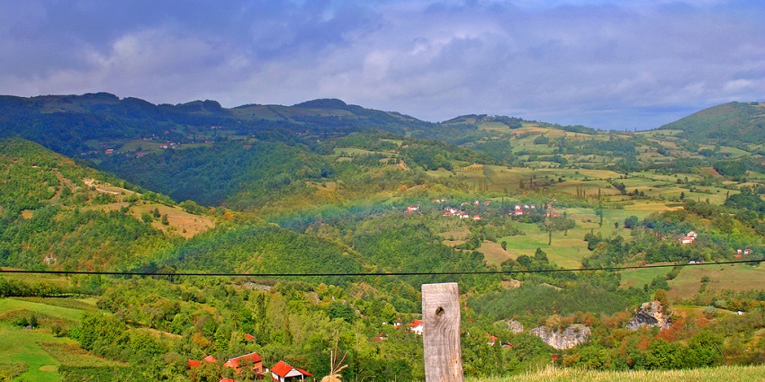 Trek through UNESCO-protected beech forests and spot wildlife in Serbia’s stunning Tara National Park, among the best things to do in Serbia.