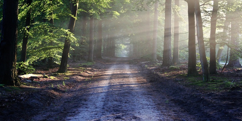 A stunning trail for hiking or biking, one of the best things to do in Avila Beach.