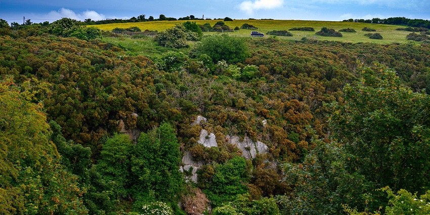 Hike up the Dublin Mountains Way for an adventurous experience for one day visit.