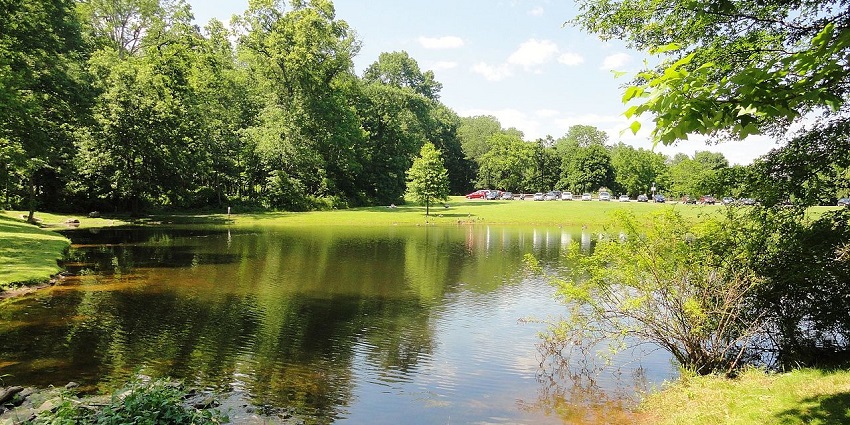 Hike rugged Ridge Trail and spot birds—a thrilling option for things to do in Somerset County.