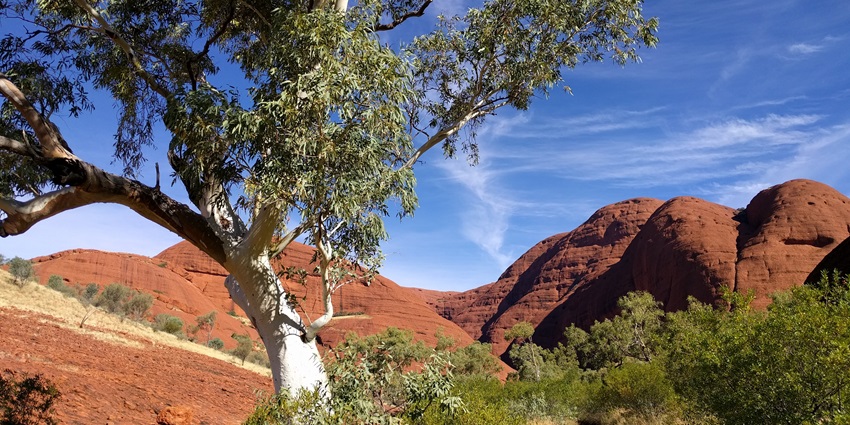 A scenic and moderately challenging walk through towering red rock formations at Kata Tjuta.