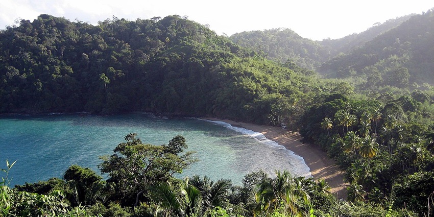 Trek through tropical trails leading to a peaceful, hidden beach framed by lush greenery.