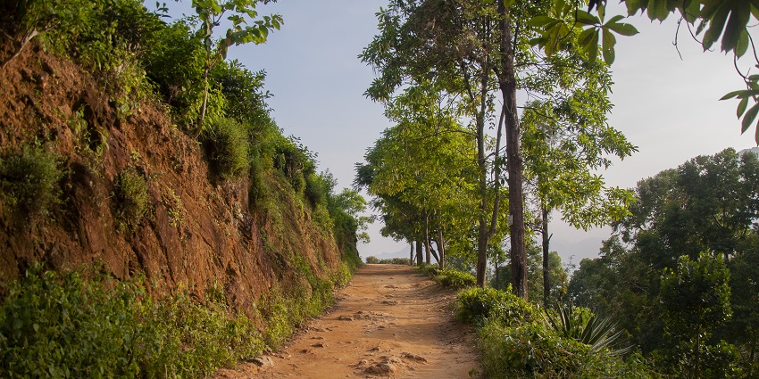 An image of one of the peaceful trails captured by a trekker while hiking up the peak.