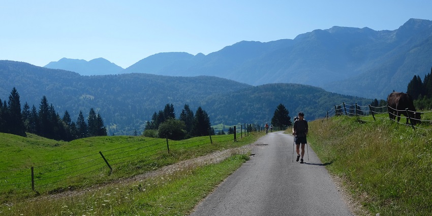 Things to do in bohinj reveal diverse hiking trails amid peaceful alpine meadows