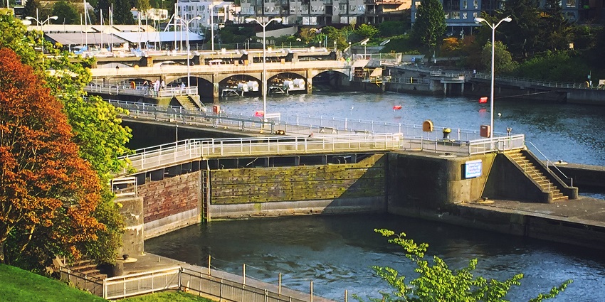 Watch boats pass through Hiram M. Chittenden Locks, among the places to visit near Seattle.