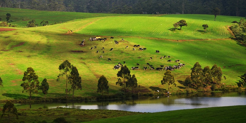 The closest airport to the farm is Mattala Rajapaksa International Airport.