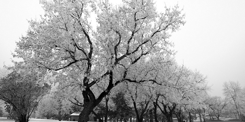 Things to do in saskatoon spark winter magic with frozen rinks and joyful skating fun
