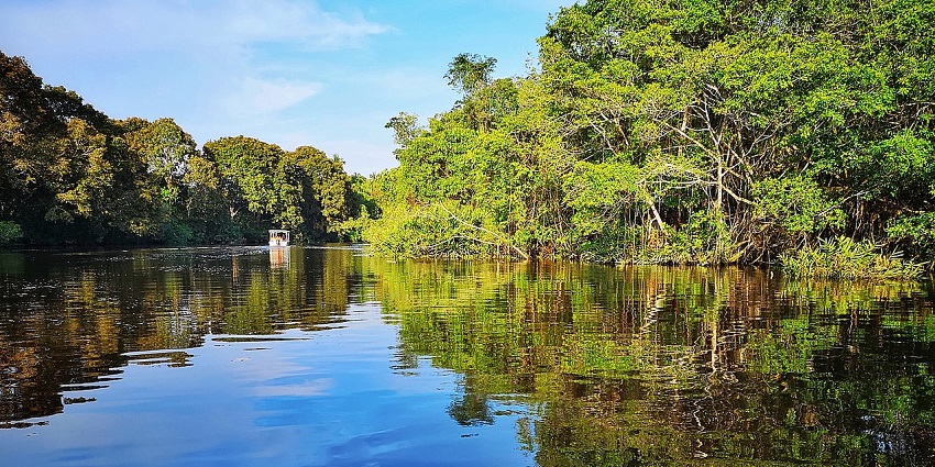 Try a mangrove cruise with your loved ones, among things to do in San Vicente, Palawan.