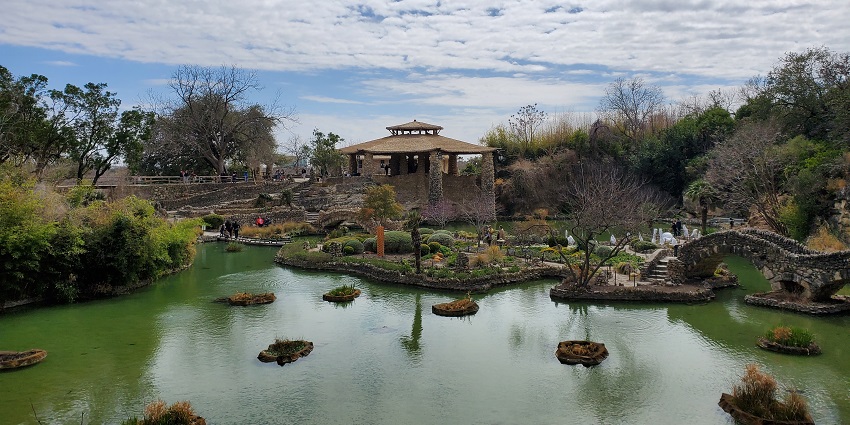Peaceful view of the Japanese Tea Garden featuring lush greenery, stone bridges, and serene koi ponds.