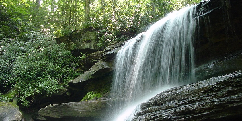 Gentle waterfall cascading over a mossy rock ledge into a serene forest pool.